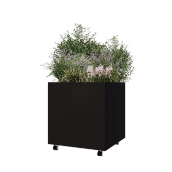 Саксии за цветя от стомана - Квадрат - 70 x 70 x 70 cm - RAL9005 матов (черен) - Със основа - Със колела