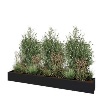 Саксия от фибростъкло - Правоъгълник - 200 x 30 x 20 см - RAL7021 мат (черно сиво) - С дъно