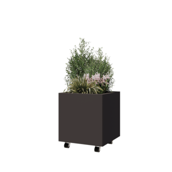 Саксии за цветя от стомана - Квадрат - 50 x 50 x 50 cm - друг RAL цвят - Със основа - Със колела