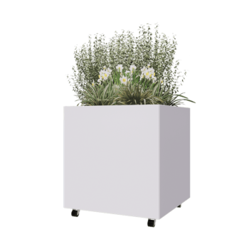 Саксии за цветя от стомана - Квадрат - 80 x 80 x 80 cm - RAL9010 матов (бял) - Със основа - Със колела