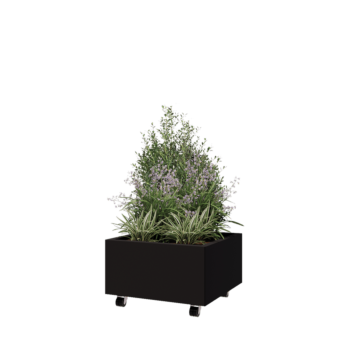 Саксии за цветя от стомана - Квадрат - 60 x 60 x 30 cm - RAL9005 матов (черен) - Със основа - Със колела