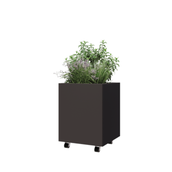 Саксии за цветя от стомана - Квадрат - 50 x 50 x 60 cm - RAL7016 матов (антрацитено сиво) - Със основа - Със колела