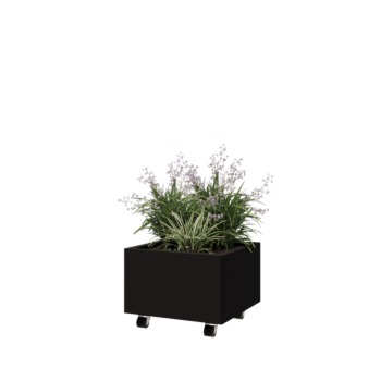 Саксии за цветя от стомана - Квадрат - 50 x 50 x 30 cm - RAL9005 матов (черен) - Със основа - Със колела