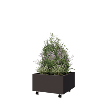 Саксии за цветя от стомана - Квадрат - 60 x 60 x 30 cm - RAL7016 матов (антрацитено сиво) - Със основа - Със колела