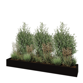 Саксия от фибростъкло - Правоъгълник - 200 x 30 x 20 см - RAL9005 матов (черен) - С дъно