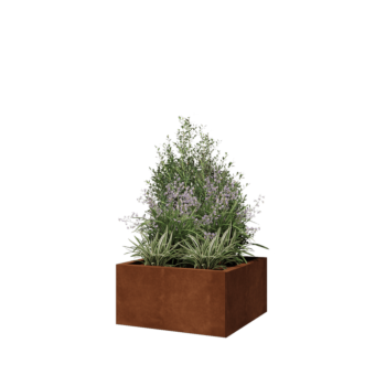 Саксии за цветя от кортенова стомана - Квадрат - 60 x 60 x 30 cm - без основа