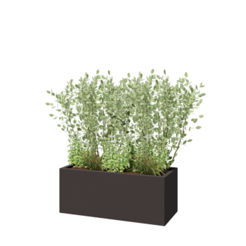 Саксии за цветя от стомана - Правоъгълник - 100 x 40 x 40 cm - RAL7016 матов (антрацитено сиво) - Със основа