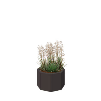 Саксии за цветя от стомана - Осмоъгълник - 48,3 x 48,3 x 30 cm - RAL7016 матов (антрацитено сиво) - без основа