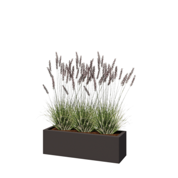 Саксии за цветя от стомана - Правоъгълник - 100 x 30 x 30 cm - RAL7016 матов (антрацитено сиво) - без основа