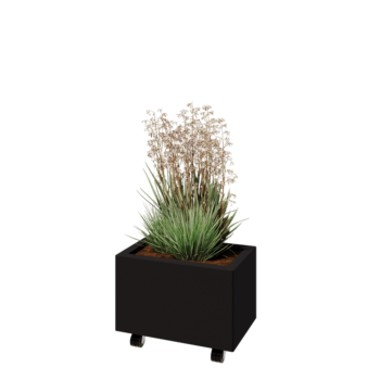 Саксии за цветя от стомана - Правоъгълник - 50 x 30 x 30 cm - RAL9005 матов (черен) - Със основа - Със колела