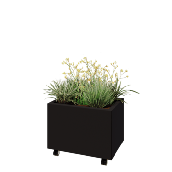 Саксии за цветя от стомана - Правоъгълник - 60 x 40 x 40 cm - RAL9005 матов (черен) - Със основа - Със колела