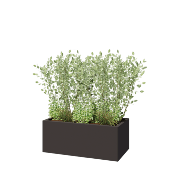 Саксии за цветя от стомана - Правоъгълник - 100 x 50 x 40 cm - RAL7016 матов (антрацитено сиво) - Със основа