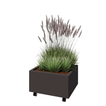 Саксии за цветя от стомана - Правоъгълник - 60 x 50 x 30 cm - друг RAL цвят - Със основа - Със колела