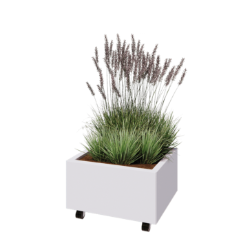 Саксии за цветя от стомана - Правоъгълник - 60 x 50 x 30 cm - RAL9010 матов (бял) - Със основа - Със колела