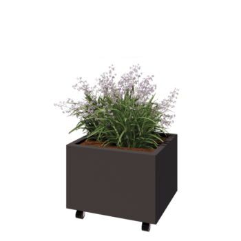 Саксии за цветя от стомана - Правоъгълник - 60 x 50 x 40 cm - RAL7016 матов (антрацитено сиво) - Със основа - Със колела