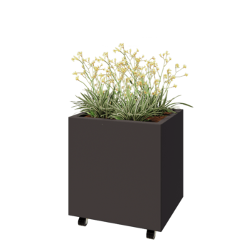 Саксии за цветя от стомана - Правоъгълник - 60 x 50 x 60 cm - RAL7016 матов (антрацитено сиво) - Със основа - Със колела