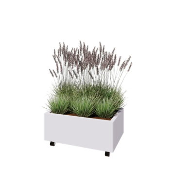 Саксии за цветя от стомана - Правоъгълник - 80 x 50 x 30 cm - RAL9010 матов (бял) - Със основа - Със колела