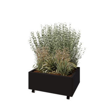 Саксии за цветя от стомана - Правоъгълник - 80 x 60 x 30 cm - RAL9005 матов (черен) - Със основа - Със колела