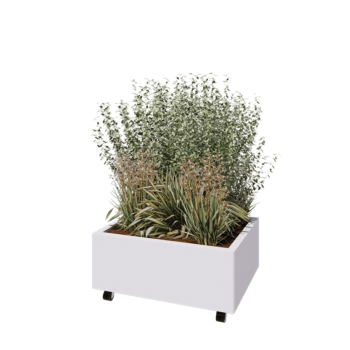 Саксии за цветя от стомана - Правоъгълник - 80 x 60 x 30 cm - RAL9010 матов (бял) - Със основа - Със колела