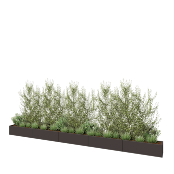 Саксии за цветя от стомана XXL - Правоъгълник - 500 x 30 x 30 cm - RAL7016 матов (антрацитено сиво) - без основа