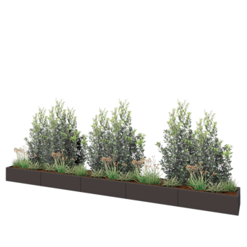 Саксии за цветя от стомана XXL - Правоъгълник - 500 x 50 x 30 cm - RAL7016 матов (антрацитено сиво) - без основа