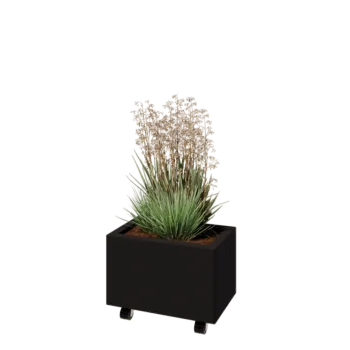 Саксии за цветя от стомана - Правоъгълник - 50 x 30 x 30 cm - RAL9005 матов (черен) - Със основа - Със колела