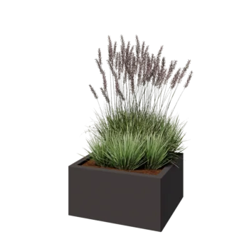 Саксии за цветя от стомана - Правоъгълник - 60 x 50 x 30 cm - RAL7016 матов (антрацитено сиво) - Със основа