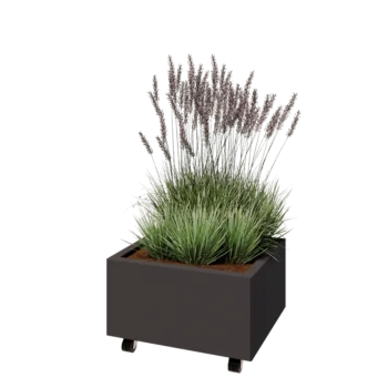 Саксии за цветя от стомана - Правоъгълник - 60 x 50 x 30 cm - RAL7016 матов (антрацитено сиво) - Със основа - Със колела