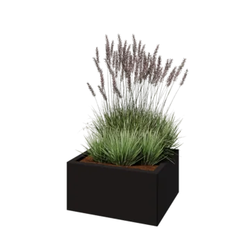 Саксии за цветя от стомана - Правоъгълник - 60 x 50 x 30 cm - RAL9005 матов (черен) - без основа