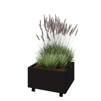 Саксии за цветя от стомана - Правоъгълник - 60 x 50 x 30 cm - RAL9005 матов (черен) - Със основа - Със колела