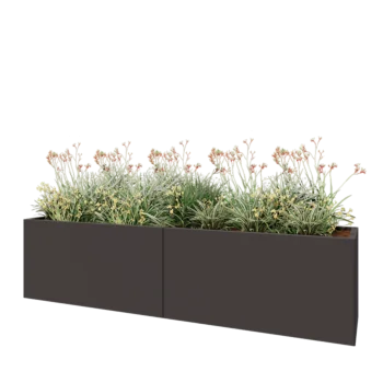 Саксии за цветя от стомана XXL - Правоъгълник - 240 x 50 x 60 cm - RAL7016 матов (антрацитено сиво) - без основа