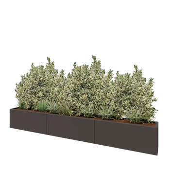 Саксии за цветя от стомана XXL - Правоъгълник - 300 x 30 x 40 cm - RAL7016 матов (антрацитено сиво) - без основа
