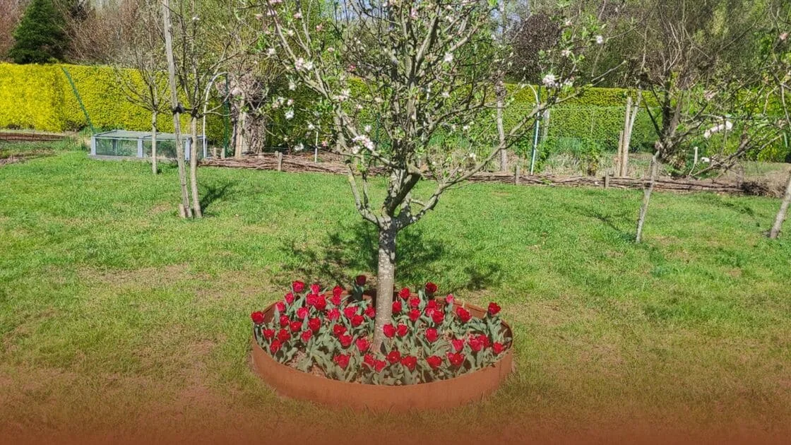 Как да създадете граница около дърво?