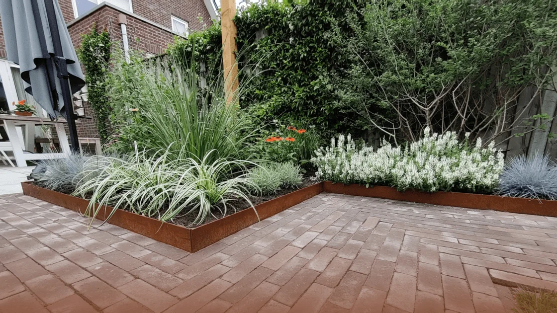 Какви са различните граници?