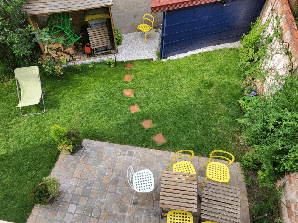 Кои растения се адаптират най-добре около плочките за настилка?